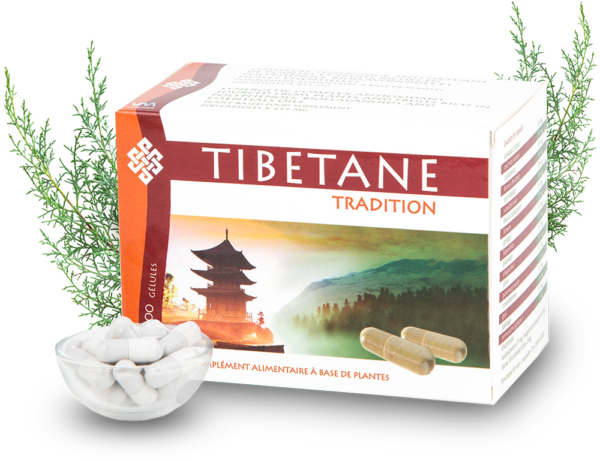 Tibetane tradition