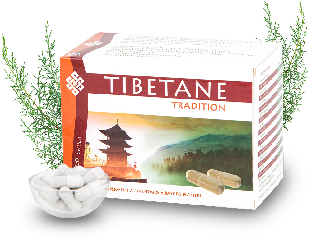 Tibetane tradition